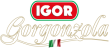 IGOR IGOR