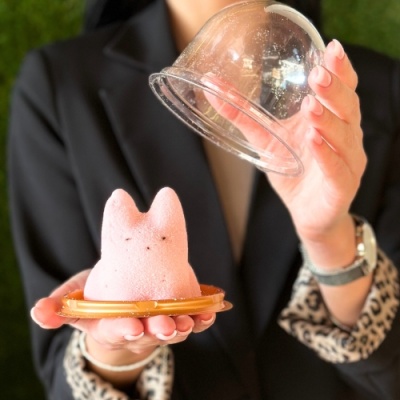 Зефир жевательный "Котик бабл гам" 90 г Зефир жевательный "Котик бабл гам" 90 г