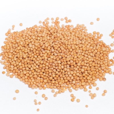 Горчичное семя желтое 100 г